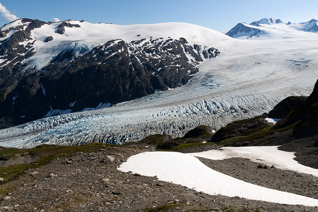 IMG_107.jpg - Exit Glacier und Harding Icefield, Kenai Fjords Nationalpark